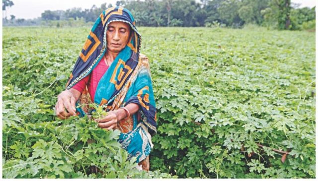 ensuring-food-security