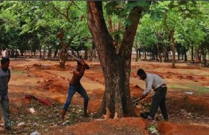 High Court orders to stop cutting trees at Suhrawardy Udyan till May 20