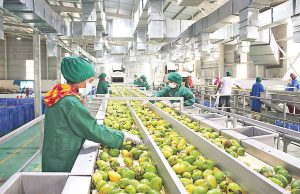 Bangladesh exported $1.16bn agricultural products in FY22