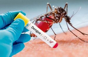 Bangladesh logs record single-day dengue hospitalizations for 2022