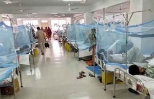 Two dengue patients die, 923 hospitalized in 24 hrs
