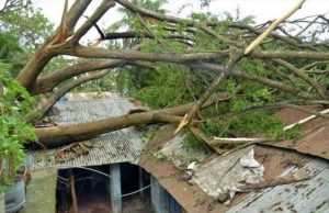 ‘Sirang’ damages 4,894 houses, 6,252.5 hectares of crops in Khulna
